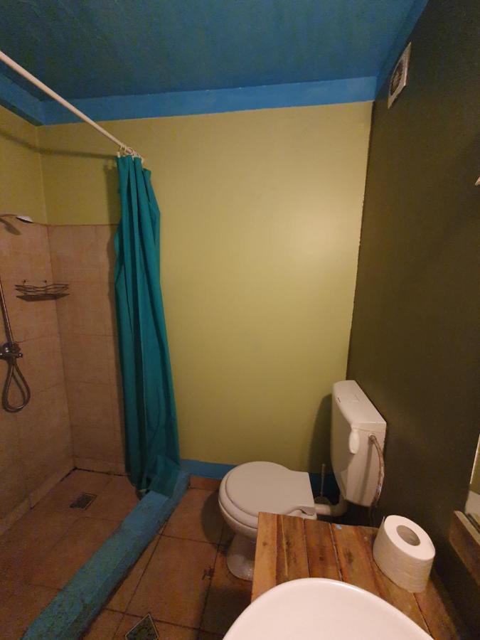 Zen Hostel Cluj-Napoca Extérieur photo