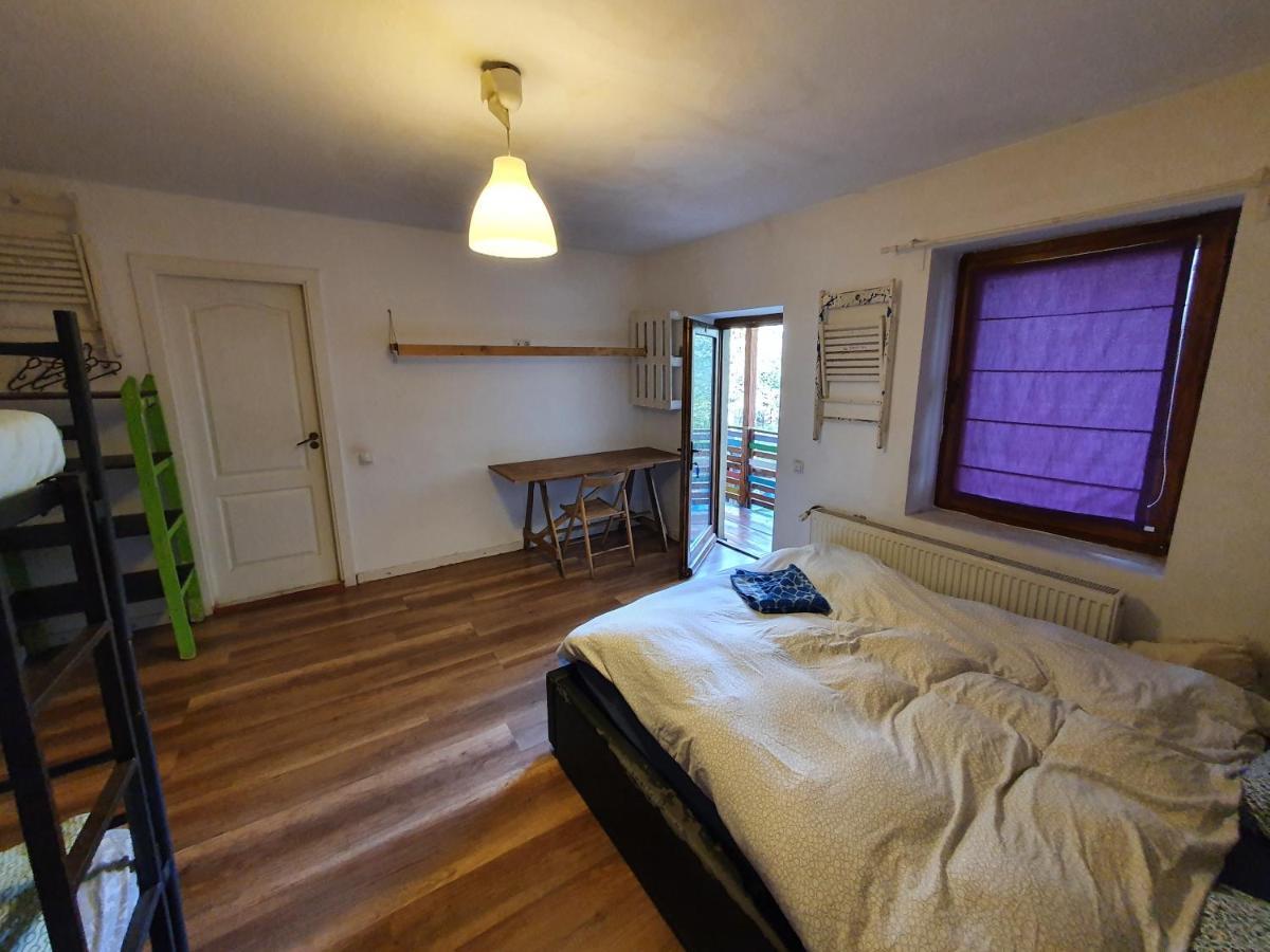 Zen Hostel Cluj-Napoca Extérieur photo